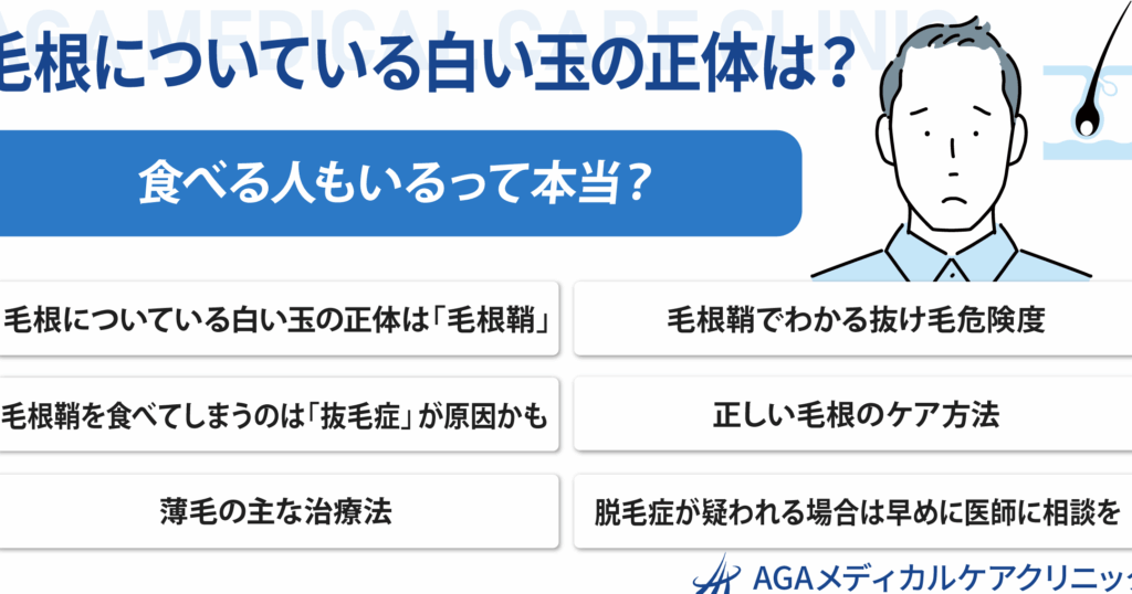 毛根鞘の機能と健康を維持する方法について